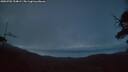 ./images/calvert/fitz-hugh-hecate/20250702/fitz-hugh-hecate20250702_224009M.jpg