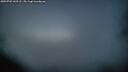 ./images/calvert/fitz-hugh-hecate/20250703/fitz-hugh-hecate20250703_043508M.jpg