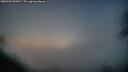 ./images/calvert/fitz-hugh-hecate/20250703/fitz-hugh-hecate20250703_044007M.jpg