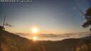 ./images/calvert/fitz-hugh-hecate/20250703/fitz-hugh-hecate20250703_060510M.jpg