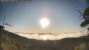 ./images/calvert/fitz-hugh-hecate/20250703/fitz-hugh-hecate20250703_071009M.jpg