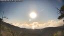 ./images/calvert/fitz-hugh-hecate/20250703/fitz-hugh-hecate20250703_072008M.jpg