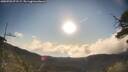 ./images/calvert/fitz-hugh-hecate/20250703/fitz-hugh-hecate20250703_073506M.jpg