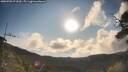 ./images/calvert/fitz-hugh-hecate/20250703/fitz-hugh-hecate20250703_074510M.jpg