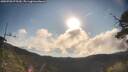 ./images/calvert/fitz-hugh-hecate/20250703/fitz-hugh-hecate20250703_075509M.jpg