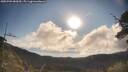 ./images/calvert/fitz-hugh-hecate/20250703/fitz-hugh-hecate20250703_080010M.jpg