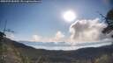 ./images/calvert/fitz-hugh-hecate/20250703/fitz-hugh-hecate20250703_082010M.jpg