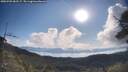 ./images/calvert/fitz-hugh-hecate/20250703/fitz-hugh-hecate20250703_083507M.jpg