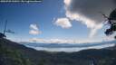 ./images/calvert/fitz-hugh-hecate/20250703/fitz-hugh-hecate20250703_105010M.jpg