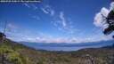 ./images/calvert/fitz-hugh-hecate/20250703/fitz-hugh-hecate20250703_135009M.jpg