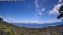 ./images/calvert/fitz-hugh-hecate/20250703/fitz-hugh-hecate20250703_141009M.jpg