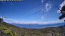 ./images/calvert/fitz-hugh-hecate/20250703/fitz-hugh-hecate20250703_142509M.jpg