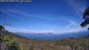 ./images/calvert/fitz-hugh-hecate/20250703/fitz-hugh-hecate20250703_165510M.jpg