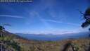 ./images/calvert/fitz-hugh-hecate/20250703/fitz-hugh-hecate20250703_183509M.jpg