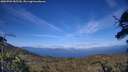 ./images/calvert/fitz-hugh-hecate/20250703/fitz-hugh-hecate20250703_185509M.jpg