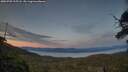 ./images/calvert/fitz-hugh-hecate/20250703/fitz-hugh-hecate20250703_215507M.jpg