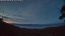 ./images/calvert/fitz-hugh-hecate/20250703/fitz-hugh-hecate20250703_224007M.jpg