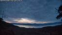 ./images/calvert/fitz-hugh-hecate/20250704/fitz-hugh-hecate20250704_044009M.jpg