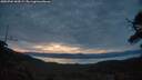 ./images/calvert/fitz-hugh-hecate/20250704/fitz-hugh-hecate20250704_044508M.jpg