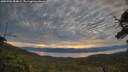 ./images/calvert/fitz-hugh-hecate/20250704/fitz-hugh-hecate20250704_054009M.jpg