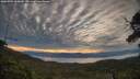 ./images/calvert/fitz-hugh-hecate/20250704/fitz-hugh-hecate20250704_060010M.jpg