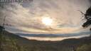 ./images/calvert/fitz-hugh-hecate/20250704/fitz-hugh-hecate20250704_072009M.jpg