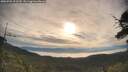 ./images/calvert/fitz-hugh-hecate/20250704/fitz-hugh-hecate20250704_073510M.jpg
