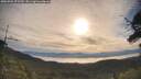 ./images/calvert/fitz-hugh-hecate/20250704/fitz-hugh-hecate20250704_075509M.jpg