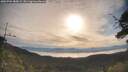 ./images/calvert/fitz-hugh-hecate/20250704/fitz-hugh-hecate20250704_080009M.jpg