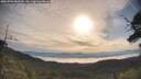 ./images/calvert/fitz-hugh-hecate/20250704/fitz-hugh-hecate20250704_080510M.jpg