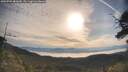 ./images/calvert/fitz-hugh-hecate/20250704/fitz-hugh-hecate20250704_081010M.jpg