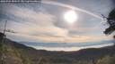 ./images/calvert/fitz-hugh-hecate/20250704/fitz-hugh-hecate20250704_082007M.jpg
