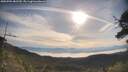 ./images/calvert/fitz-hugh-hecate/20250704/fitz-hugh-hecate20250704_082510M.jpg