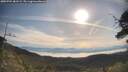 ./images/calvert/fitz-hugh-hecate/20250704/fitz-hugh-hecate20250704_083509M.jpg