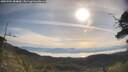 ./images/calvert/fitz-hugh-hecate/20250704/fitz-hugh-hecate20250704_084010M.jpg