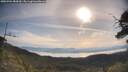 ./images/calvert/fitz-hugh-hecate/20250704/fitz-hugh-hecate20250704_084510M.jpg