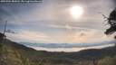 ./images/calvert/fitz-hugh-hecate/20250704/fitz-hugh-hecate20250704_085010M.jpg