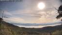 ./images/calvert/fitz-hugh-hecate/20250704/fitz-hugh-hecate20250704_085509M.jpg