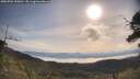 ./images/calvert/fitz-hugh-hecate/20250704/fitz-hugh-hecate20250704_090011M.jpg