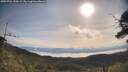 ./images/calvert/fitz-hugh-hecate/20250704/fitz-hugh-hecate20250704_090509M.jpg