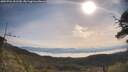 ./images/calvert/fitz-hugh-hecate/20250704/fitz-hugh-hecate20250704_091510M.jpg