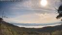 ./images/calvert/fitz-hugh-hecate/20250704/fitz-hugh-hecate20250704_092510M.jpg