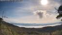 ./images/calvert/fitz-hugh-hecate/20250704/fitz-hugh-hecate20250704_093011M.jpg