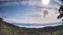 ./images/calvert/fitz-hugh-hecate/20250704/fitz-hugh-hecate20250704_094010M.jpg