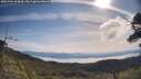 ./images/calvert/fitz-hugh-hecate/20250704/fitz-hugh-hecate20250704_094510M.jpg