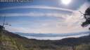 ./images/calvert/fitz-hugh-hecate/20250704/fitz-hugh-hecate20250704_095008M.jpg