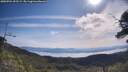 ./images/calvert/fitz-hugh-hecate/20250704/fitz-hugh-hecate20250704_095509M.jpg