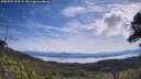 ./images/calvert/fitz-hugh-hecate/20250704/fitz-hugh-hecate20250704_105509M.jpg