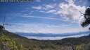 ./images/calvert/fitz-hugh-hecate/20250704/fitz-hugh-hecate20250704_112508M.jpg