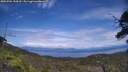 ./images/calvert/fitz-hugh-hecate/20250704/fitz-hugh-hecate20250704_144510M.jpg